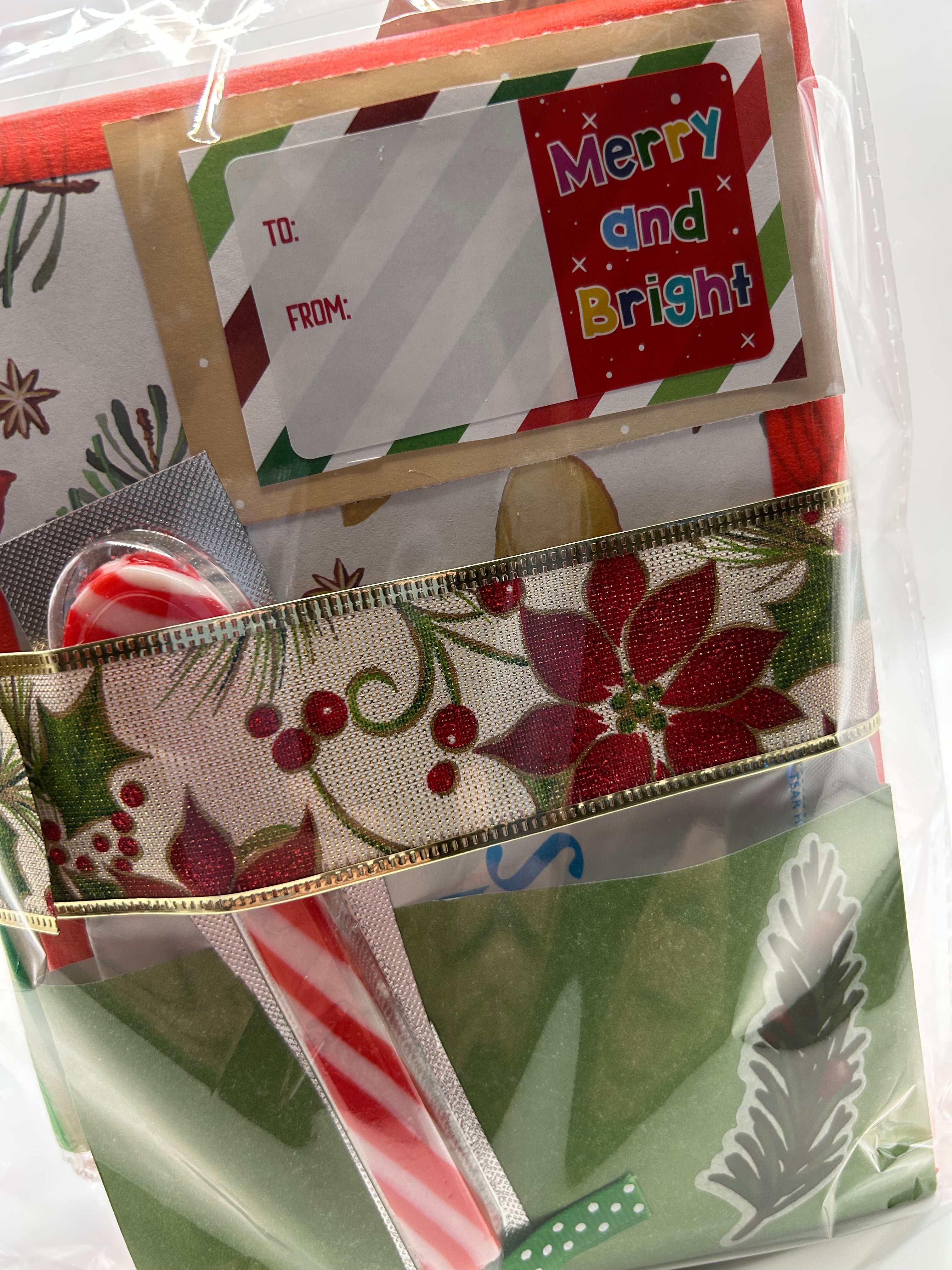 Holiday  Blind Date With a Book – Romance & Emotional Women’s Fiction Gift Pack